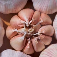 Poroto Alubia