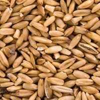 Arroz Integral