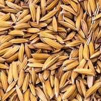Arroz Basmati