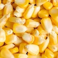 Garbanzo