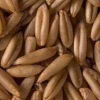 Semillas de Calabaza